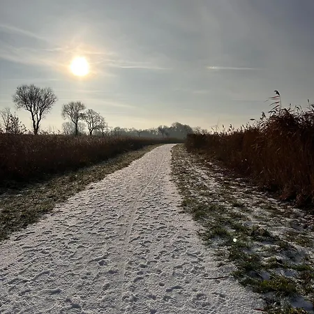 Villa Am Für Paare, Familien, Nordseenah, Feriennest Am Wangermeer